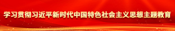 日女人逼逼学习贯彻习近平新时代中国特色社会主义思想主题教育